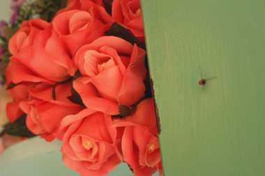 Kılık kırmızı gül sepeti parkta.