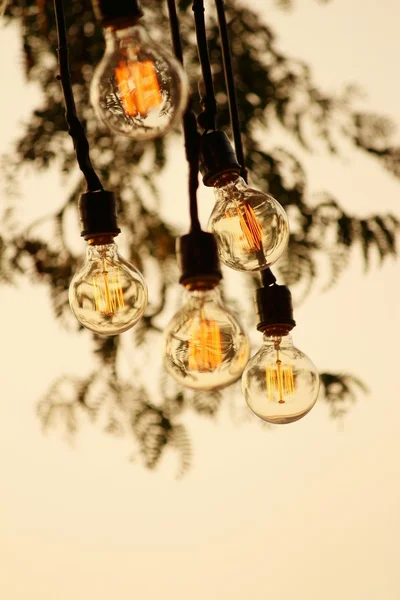 Bombillas vintage colgando del árbol en el parque —  Fotos de Stock