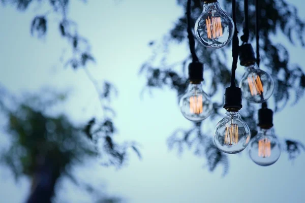 Vintage bulbs hanging on the tree at the park — Stock Photo, Image