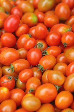 Piyasada masada taze domates