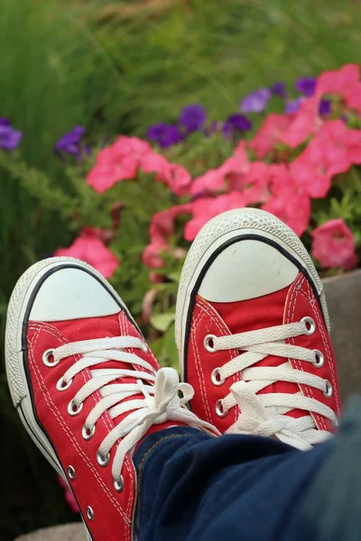 Червоне взуття з тлом квітів . — стокове фото