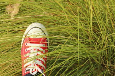 Yeşil çim bir arka plan ile kırmızı ayakkabılar.
