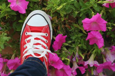 Bir arka planını çiçekler ile kırmızı ayakkabılar.