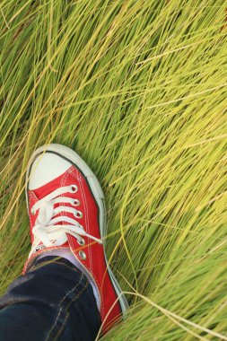 Yeşil çim bir arka plan ile kırmızı ayakkabılar.