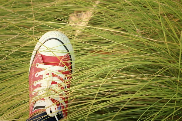 Yeşil çim bir arka plan ile kırmızı ayakkabılar. — Stok fotoğraf