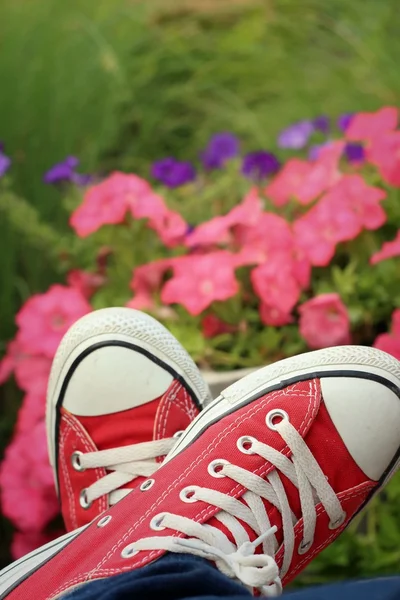 Red shoes with a background of flowers. — Stock Photo, Image