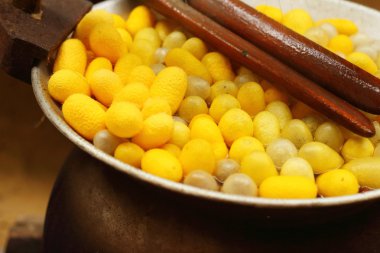 İpek koza kaynatılarak çekerek.