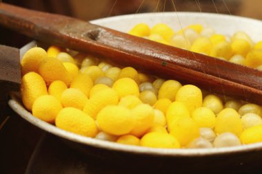 İpek koza kaynatılarak çekerek.