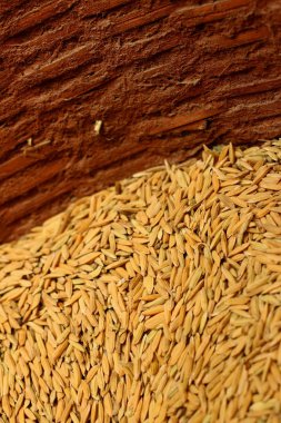 Çeltik pirinç bir sepet içinde bir sürü