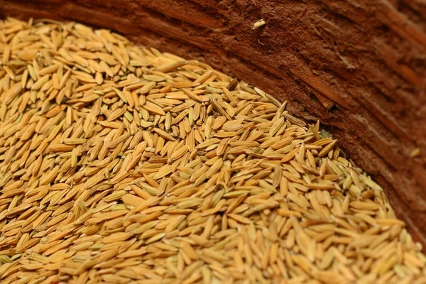 Çeltik pirinç bir sepet içinde bir sürü