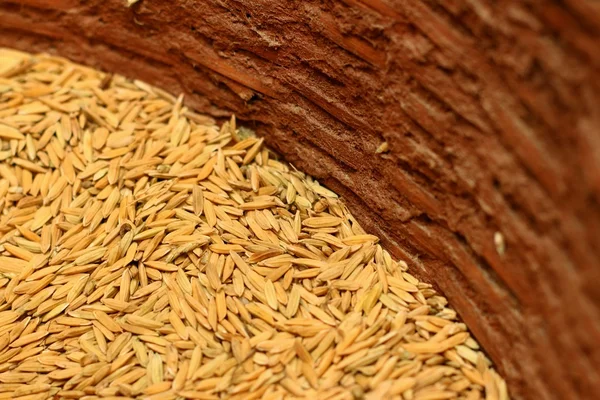 Çeltik pirinç bir sepet içinde bir sürü