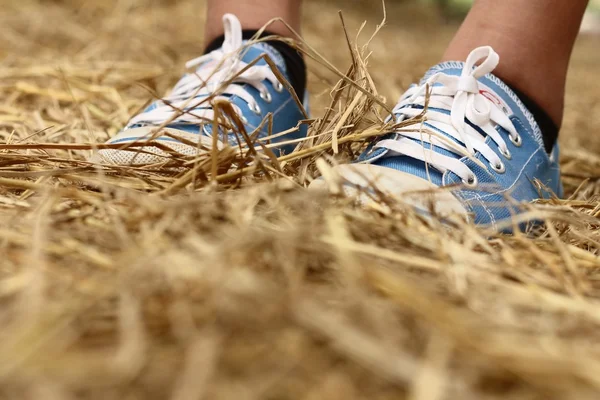 Women wearing blue shoes standing on rice straw. — Stock Photo, Image