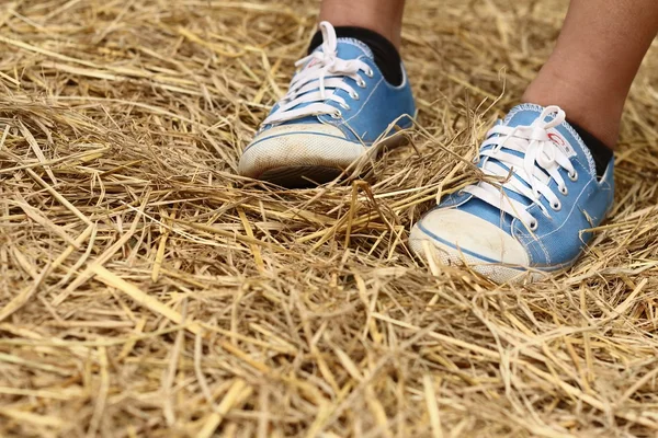 Kobiet na sobie niebieskie buty stały ryż słomy. — Zdjęcie stockowe