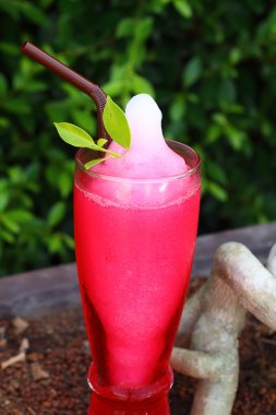 Kırmızı soda su Bahçe