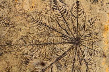 Çimento yere bırakır