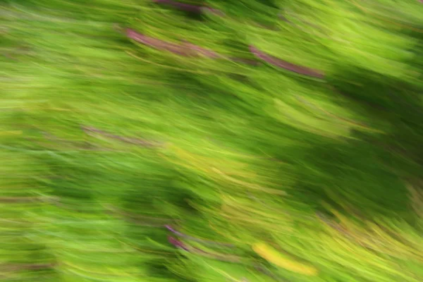 Blurred light trails background — Stock Photo, Image