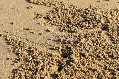 Kum doku veya arka plan