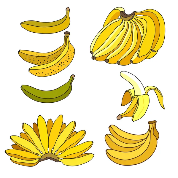Conjunto de bananas diferentes — Vetor de Stock