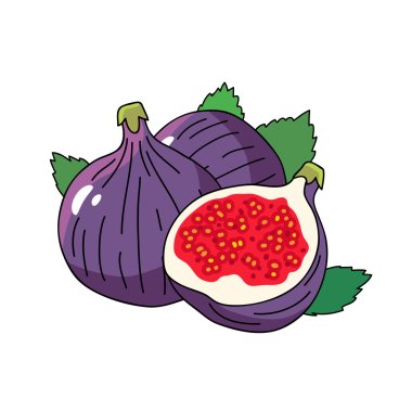 The fruits of sweet figs with leaves clipart