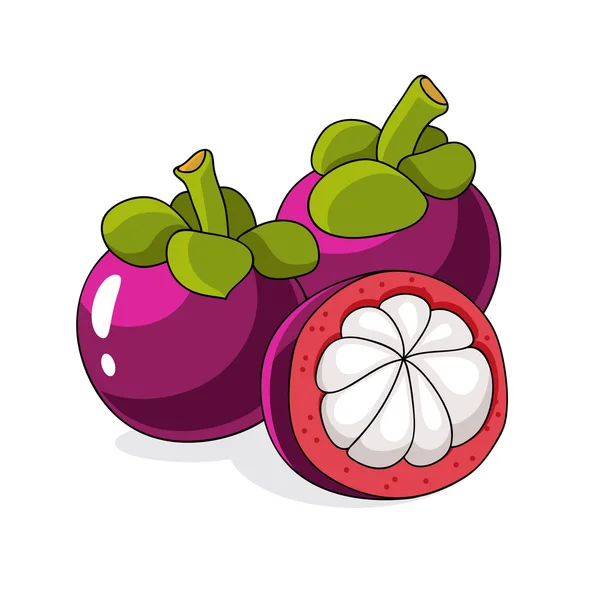 Tropische exotisch fruit mangosteen — Stockvector