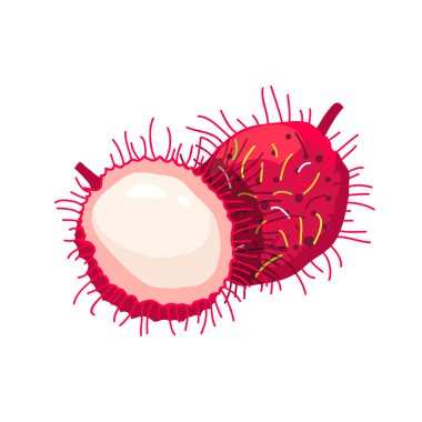 tropikal meyve rambutan beyaz arka plan üzerinde