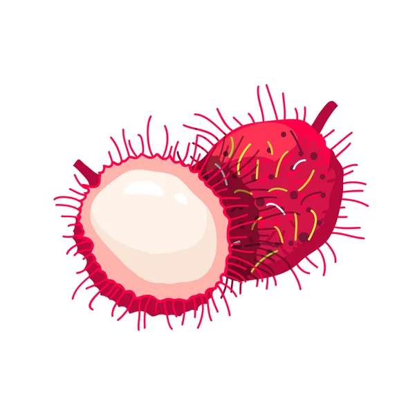 Rambután de frutas tropicales sobre fondo blanco — Vector de stock