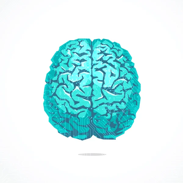 Творческая концепция человеческого мозга — стоковый вектор