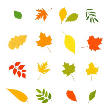 Farklı ağaçlarının sonbahar yaprakları