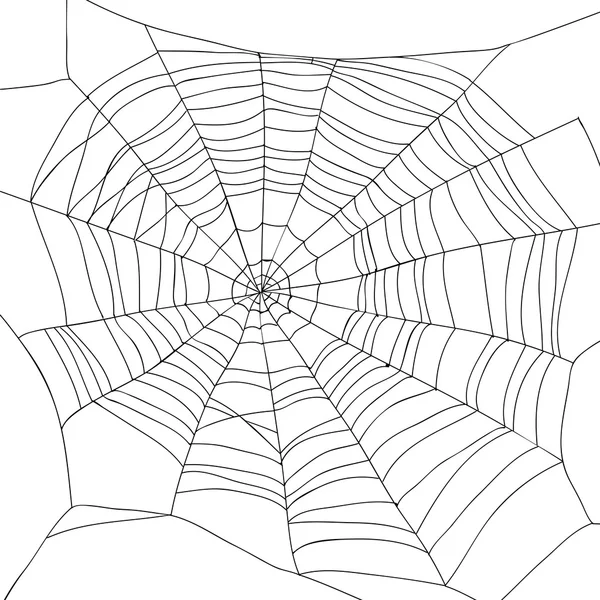 Abstract tekening van een spinrag — Stockvector