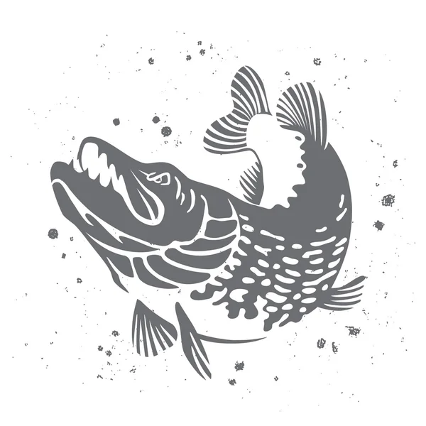 Pique predatório. A imagem estilizada de peixe. Vetor — Vetor de Stock