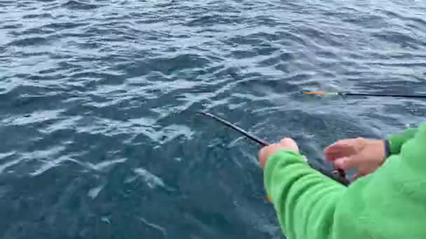 Pescador Com Uma Vara Pesca Pesca Viagem Barco Pesca Baía — Vídeo de Stock