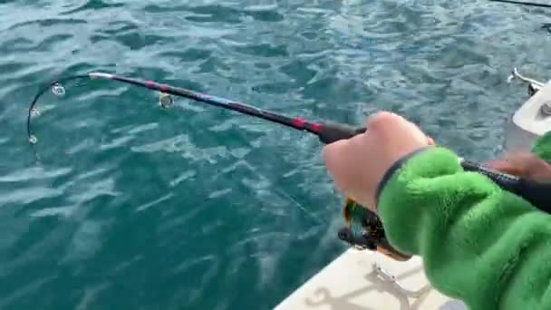 Ένας Νεαρός Ψαράς Καλάμι Ψαρεύει Μια Βάρκα Εκδρομή Αλιεία Στον — Αρχείο Βίντεο