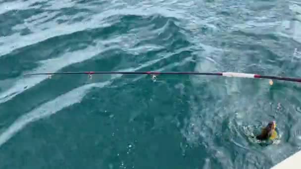 Kamchatka Peninsula Russia September 2020 Two Fishermen Fishing Line Boat — Stock Video