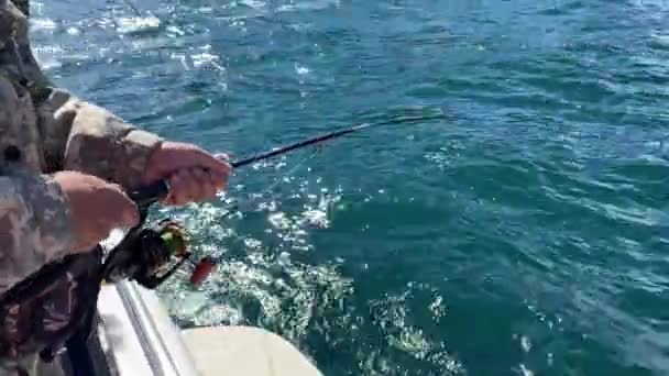 Kamchatka Peninsula Rússia Setembro 2020 Dois Pescadores Capturam Peixes Com — Vídeo de Stock