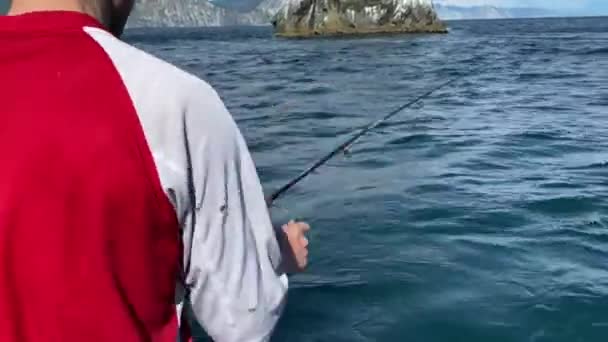 Kamchatka Peninsula Russia Settembre 2020 Pescatore Mendicante Con Una Maglietta — Video Stock