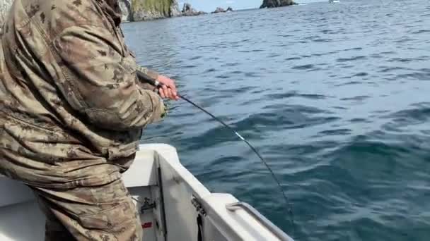 Kamchatka Peninsula Russia September 2020 Fat Fisherman Caught Fish Fishing — Stock Video