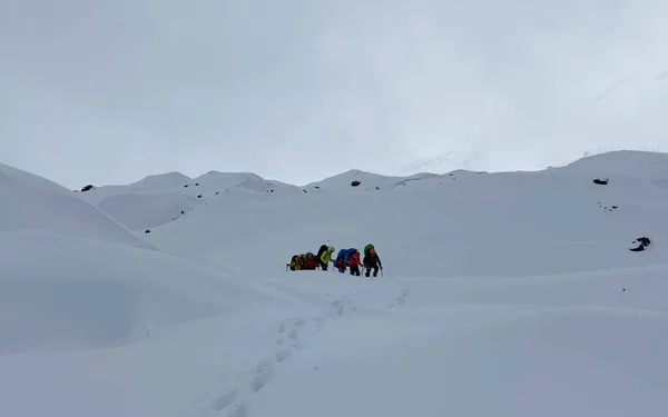 Büyük Sırt Çantaları Yürüyüş Direkleriyle Turist Tırmanışçıları Karlı Dağlarda Yürüyorlar — Stok fotoğraf