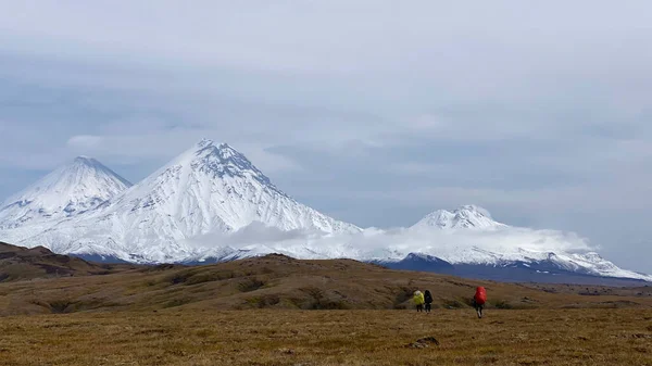 Tres Viajeros Están Caminando Largo Tundra Otoño Trekking Parque Del — Foto de Stock