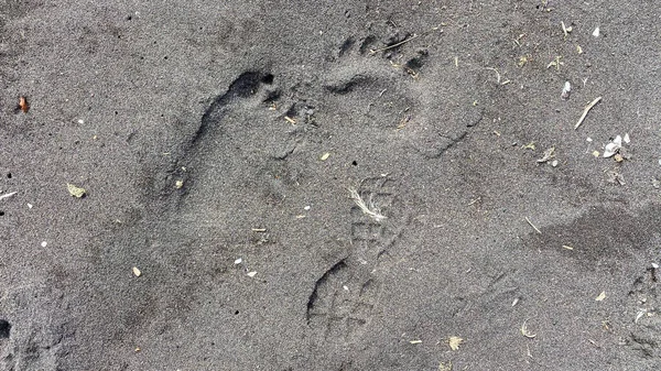 Černém Sopečném Písku Jsou Stopy Medvědech Šlépějích Khalaktyrská Pláž Cesta — Stock fotografie