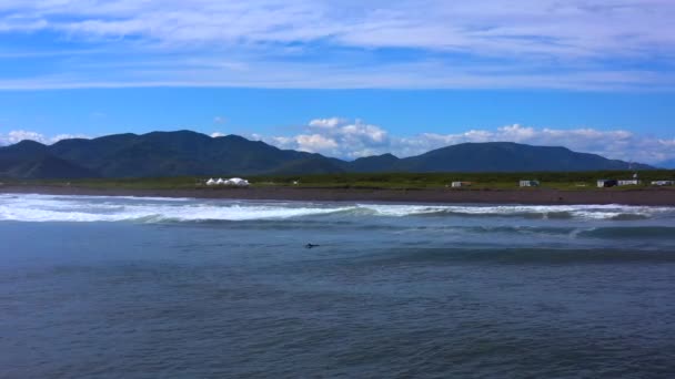 Surfista Nada Nas Ondas Oceano Pacífico Deitado Uma Prancha Surf — Vídeo de Stock