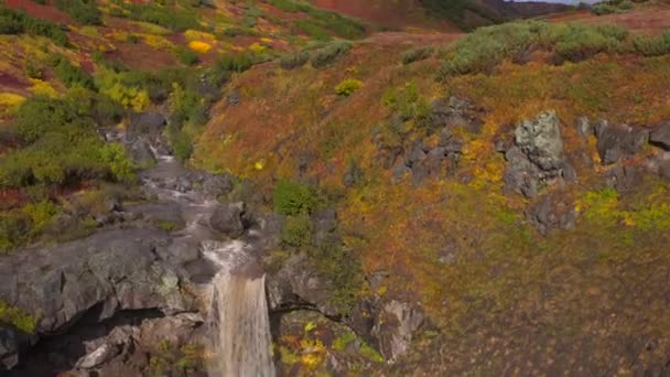 Pequeño Río Que Convierte Una Hermosa Cascada Hermoso Lugar Impresionante — Vídeos de Stock