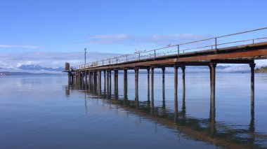 Bir martı sürüsü eski, paslı bir iskelede oturuyor. Volkanlar, dağlar, tepeler ve Kamçatka kayaları
