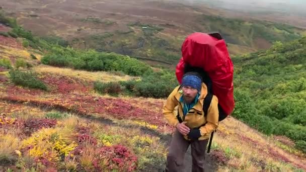 Resenär Gul Jacka Med Stor Ryggsäck Går Genom Centrala Hösten — Stockvideo