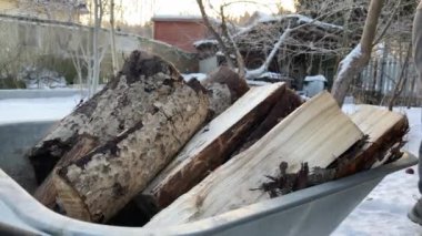 Genç bir adam, kışın sobayı demir bir el arabasıyla yakmak için odun koyar. Köy adamı yakacak odun topluyor. Köy hayatı. Yakmak için odun kütükleri.