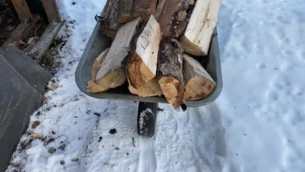 Hombre Lleva Una Pila Leña Una Carretilla Hierro Invierno Leña — Vídeos de Stock