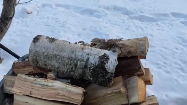 Hombre Lleva Leña Una Carretilla Hierro Leña Para Encender Estufa — Vídeos de Stock