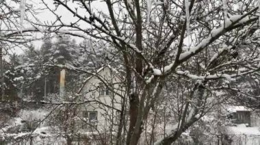 Evin penceresinden sokağa, komşu köy evine, ormana ve kar yağışına bak. Ormanda kış masalı. Kışın köy hayatı.