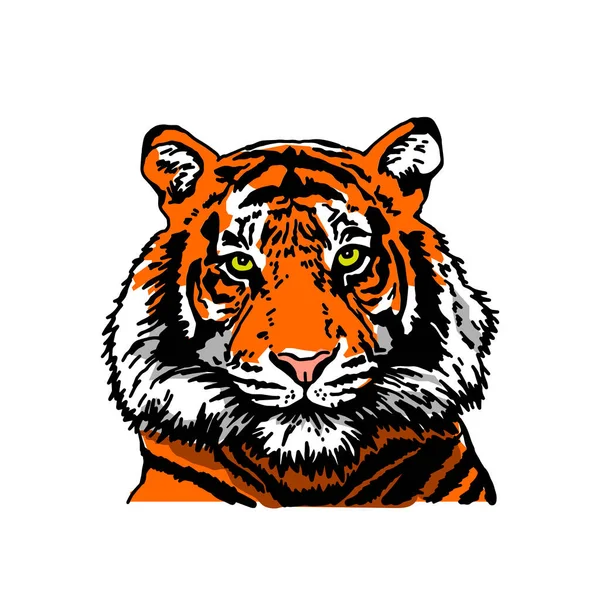 Tiger Head Detailed Drawing Tiger Symbol New 2022 Vector Illustration — Stock Vector