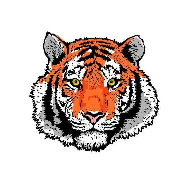 Tigerkopf Detaillierte Zeichnung Eines Tigers Das Symbol Des Neuen 2022 — Stockvektor