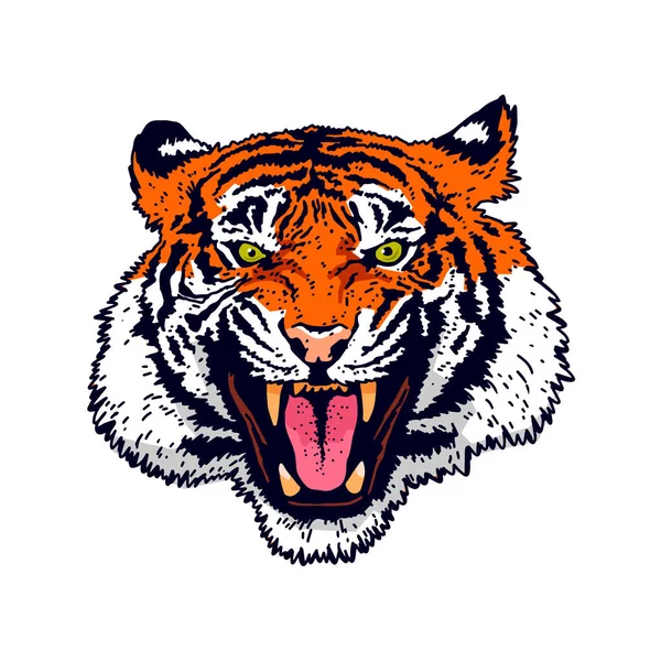 Das Grinsen Eines Tigers Wütendes Tigergesicht Detaillierte Zeichnung Eines Tigers — Stockvektor